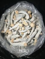 MUSHROOMS